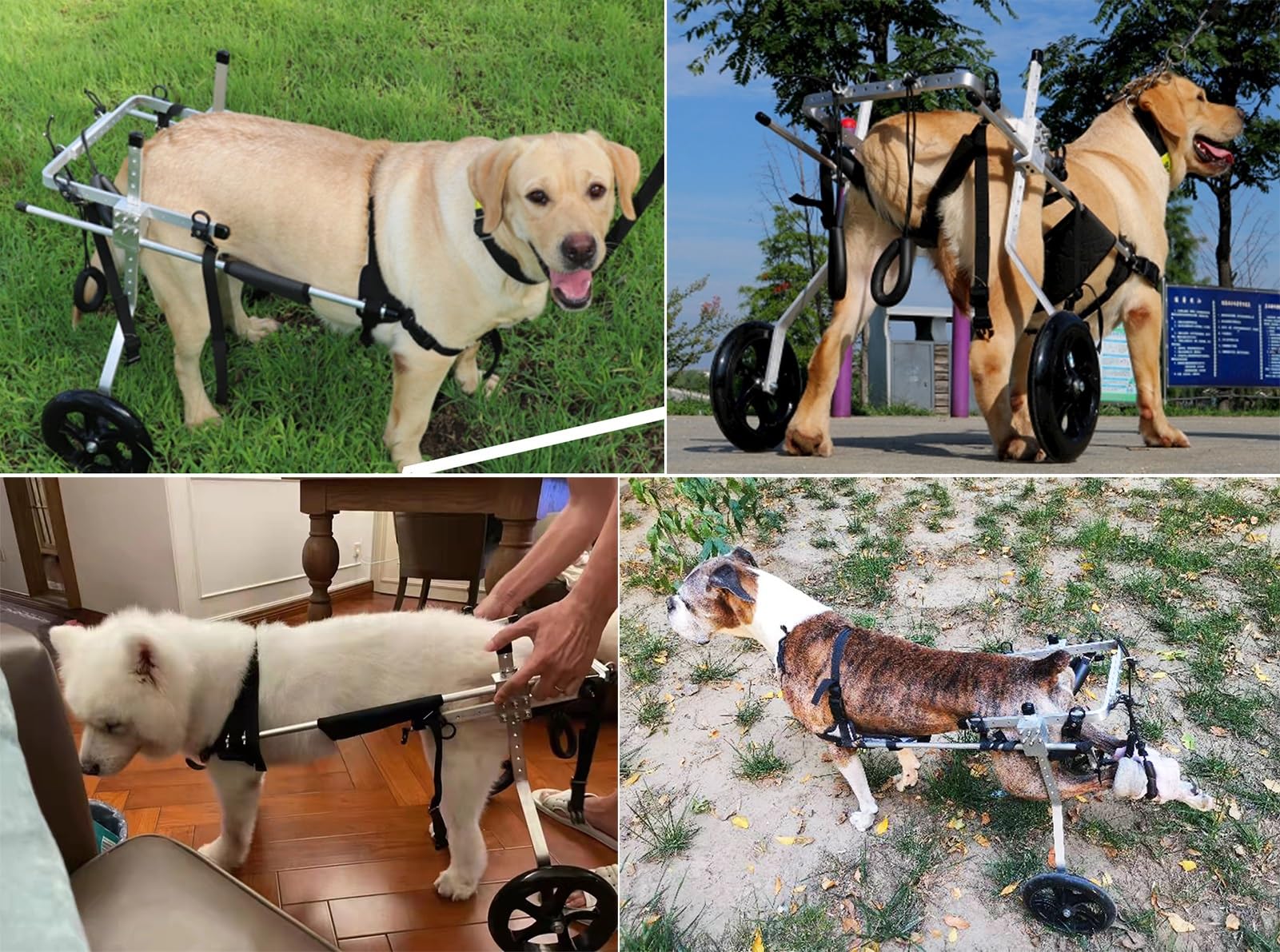 Amazon.com: CMYUN M/L/XL/XXL/XXXL Extra Large Dog Wheelchair